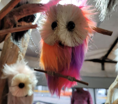 Imagen de WhatsApp 2024-02-24 a las 01.38.00_3d86d36d.jpg