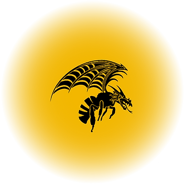 Logo_LeTonneaud'Or DRAGON b.png