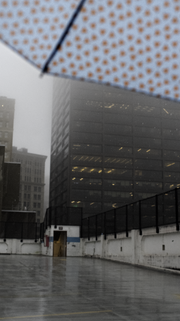SM_1042402-Edit.png