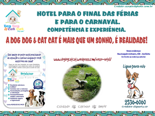 Férias e carnaval!