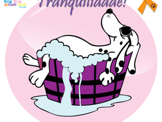 Uma tranquilidade para seu amiguinho!