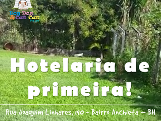 Experiência em hotelaria!