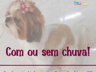Com ou sem chuva!
