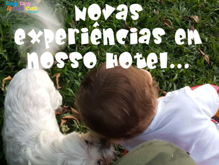 Novas experiências em nosso Hotel!
