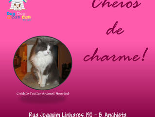 Charme demais!