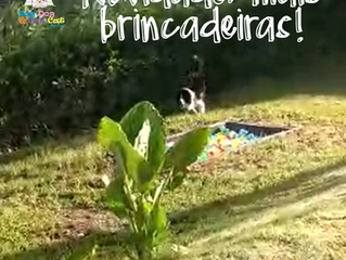 A novidade é que tem mais brincadeiras no Hotel!