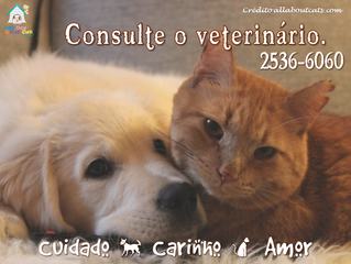 Não esqueça de agendar a consulta de rotina!