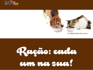 Ração: cada um na sua!