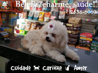 Banho: sinônimo de beleza e charme!