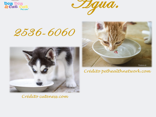 Água. Sempre. Principalmente agora.