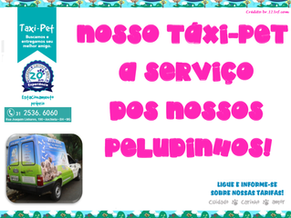 Responsabilidade no transporte: nosso táxi-pet.