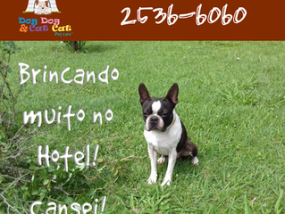 Hotel: muito bom!