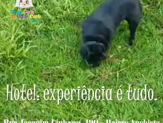 Hotel: experiência é tudo.