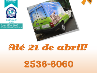 Táxi-pet, até dia 21 de abril!