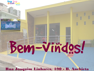 Bem-vindos!