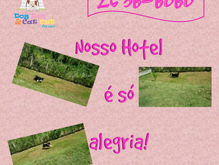 Hotel: no nosso é só alegria!