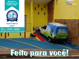 O seu táxi-pet!
