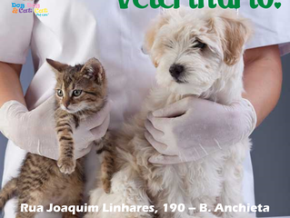 Veterinário: confiança e segurança.