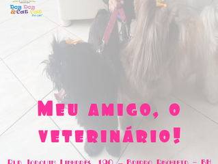 Meu médico é o melhor!