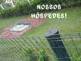 Só hoje! Amanhã a loja estará fechada!
