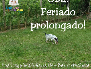 Está se lembrando do feriadão?