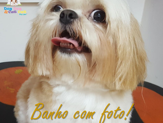Banho e tosa com foto!