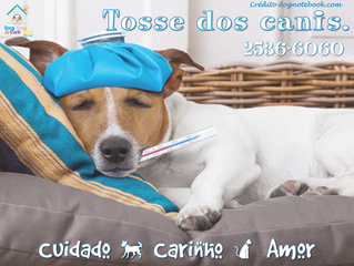 Conhece a tosse dos canis?