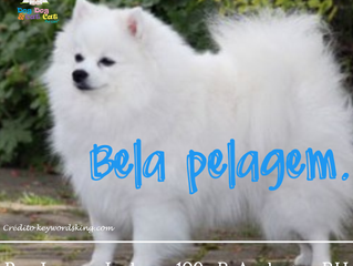 Pelagem hidratada.