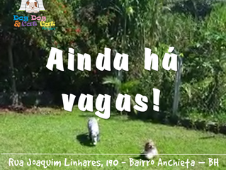 Ainda temos vagas!
