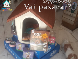 Vai passear? Veja o que temos para você!