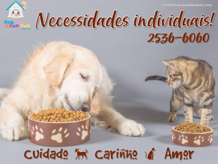 Ofereça a melhor ração: a mais indicada para o seu au-au ou miau!