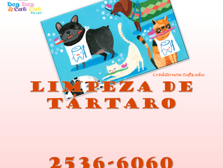 Limpeza de tártaro: a saúde começa na boca!
