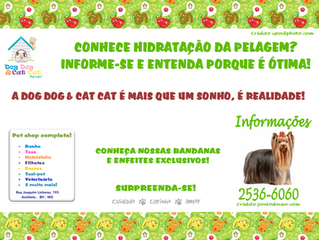 Para que hidratar a pelagem?