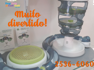 Brincando... Muita diversão!