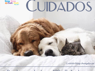 Cuidados com os peludinhos.