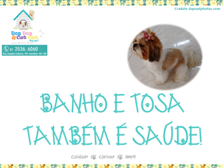 Beleza, higiene, saúde!