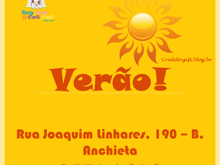Cuidados no verão que se aproxima!