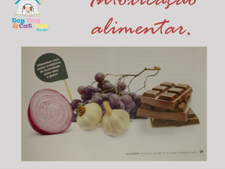Intoxicação alimentar: entenda o perigo!