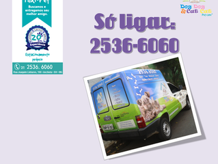 Nosso táxi-pet: 2536-6060