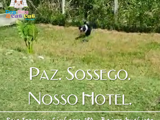 Paz. Sossego. Nosso Hotel.