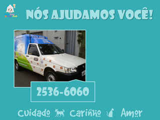 Chame nosso táxi-pet: sua tranquilidade, segurança para seu amiguinho!