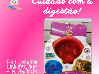 Mastigação: precisa calma...