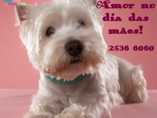No dia das mães, beleza e muito amor!
