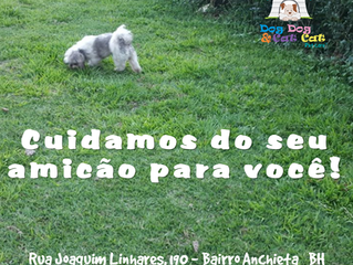 Hoje é feriado, mas estamos atendendo!