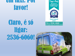 Um táxi, por favor!