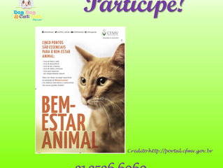 Bem-estar animal: entenda e participe!