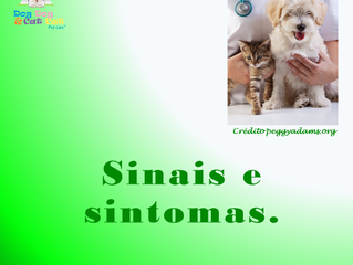 Sinais e sintomas.