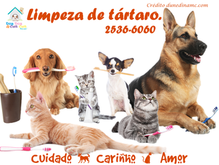 A higiene bucal fica completa com a limpeza de tártaro!