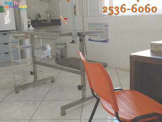 Qualquer dúvida, consulte o veterinário imediatamente!