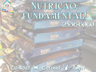 Escolha a ração de acordo com a nutrição!